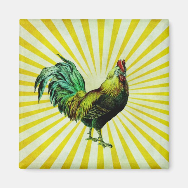 Íman Rise e Brilho (Frente)