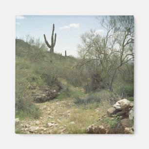Íman Riverbed Lembrance Desert Refrigerator Magnet
