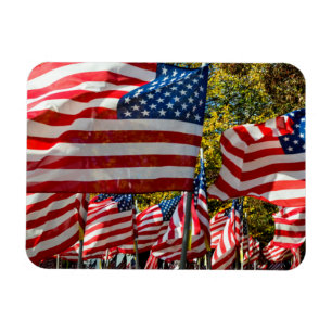 Íman Riverdale, Nova Iorque, EUA. País do vinho