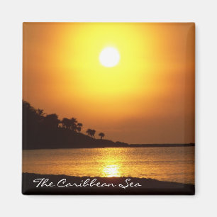 Íman Riviera Maya Cancún México Caribe Magnet