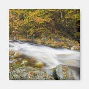 Íman Roaring Brook no outono nos Green