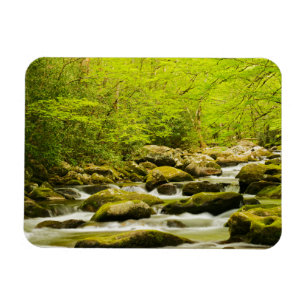 Íman Roaring Fork na Primavera