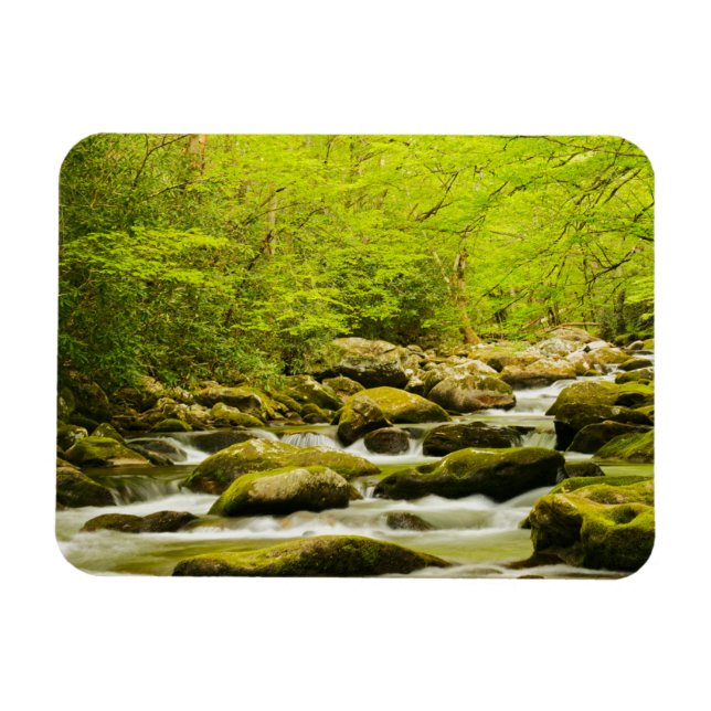 Íman Roaring Fork na Primavera (Horizontal)