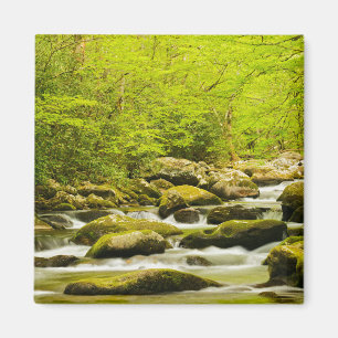 Íman Roaring Fork na Primavera