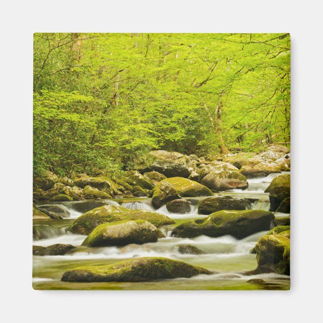 Íman Roaring Fork na Primavera (Frente)