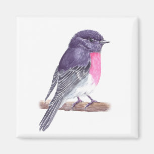 Íman Robin