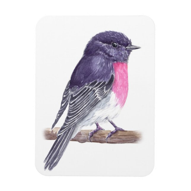 Íman Robin (Vertical)