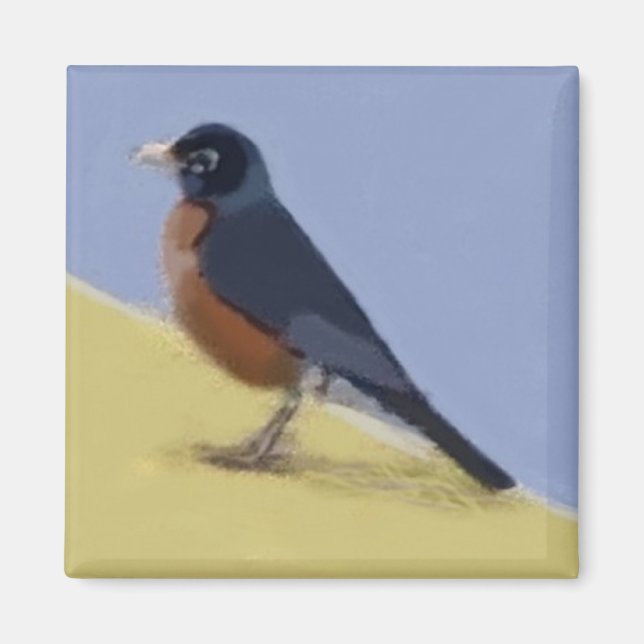 Íman Robin (Frente)