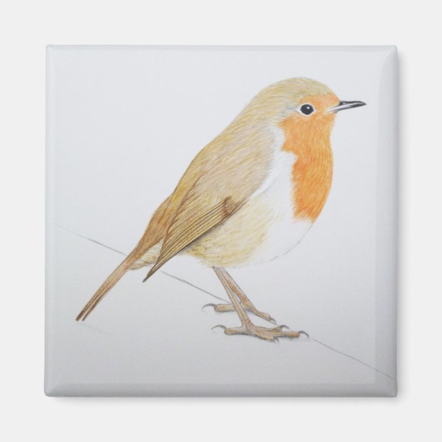 Íman Robin 2011 (Frente)