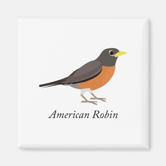 Íman Robin Americano (Frente)