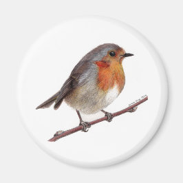 Íman Robin Bird (Erithacus Rubecula)