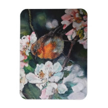 Robin com flor de cereja