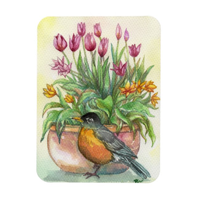 Íman Robin e Tulips (Vertical)