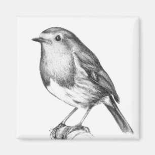 Íman Robin Natal