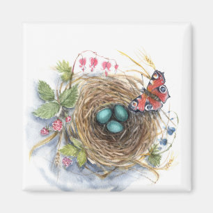 Íman Robin Nest