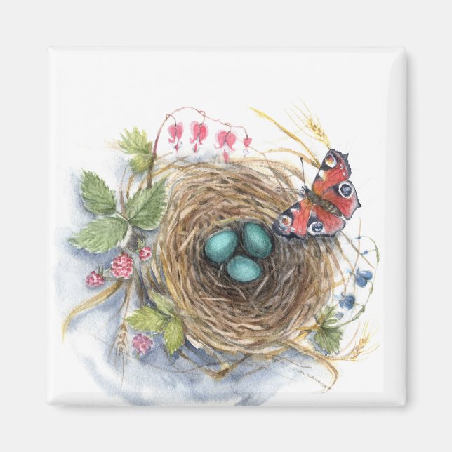 Íman Robin Nest (Frente)