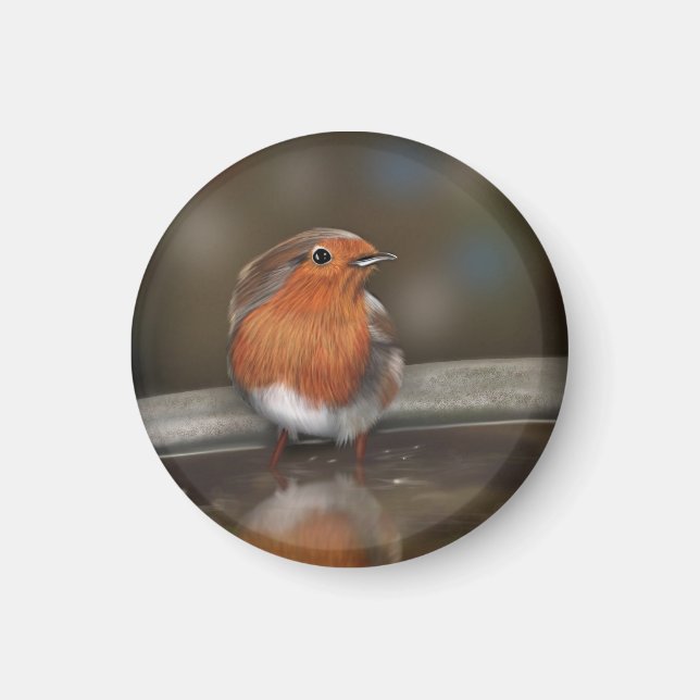 Íman Robin Red Breast Curtindo um Banho (Frente)