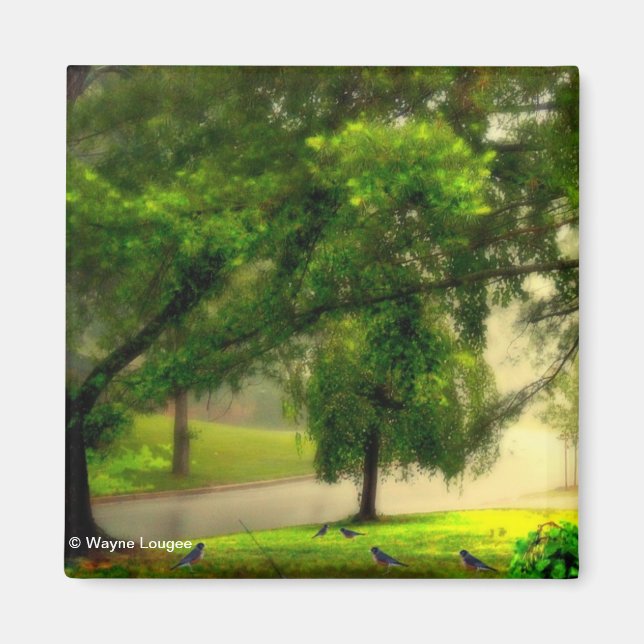 Íman Robins no magneto (Frente)