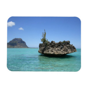 Íman Rocha de cristal compor do coral