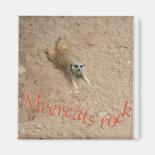 Íman Rocha de Meercats!