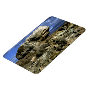 Íman Rocha do cogumelo