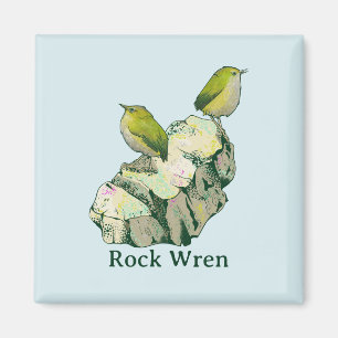 Íman Rock Wren Pássaros Nova Zelândia