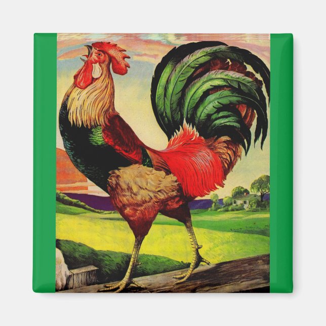 Íman Rocky the Handsome Rooster (Frente)