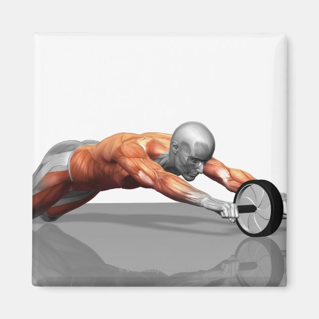 Íman Roda Ab (Frente)