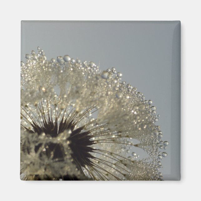 Íman Roda das gotículas (Frente)