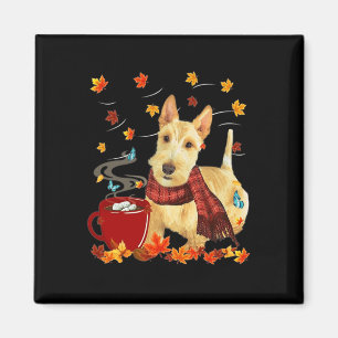 Íman Roda Scottish Terrier - Queda - Chocolate - Quente