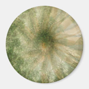 Íman Roda Selva....