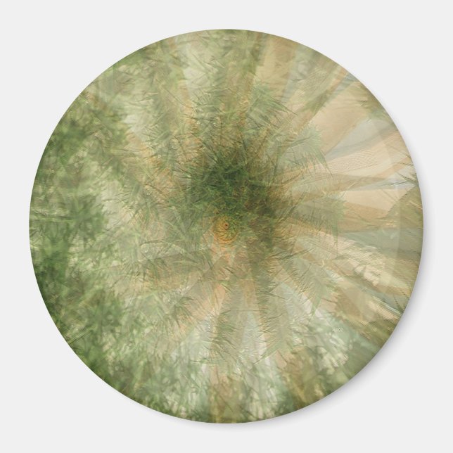 Íman Roda Selva.... (Frente)