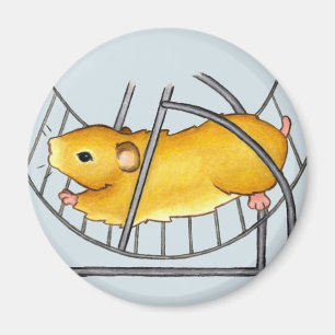 Íman Roda Ted do hamster