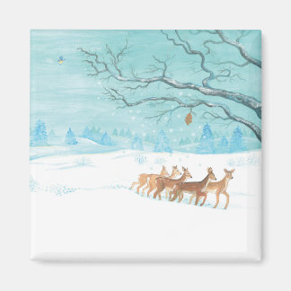 Íman Roe Deer na floresta de inverno coberta de neve