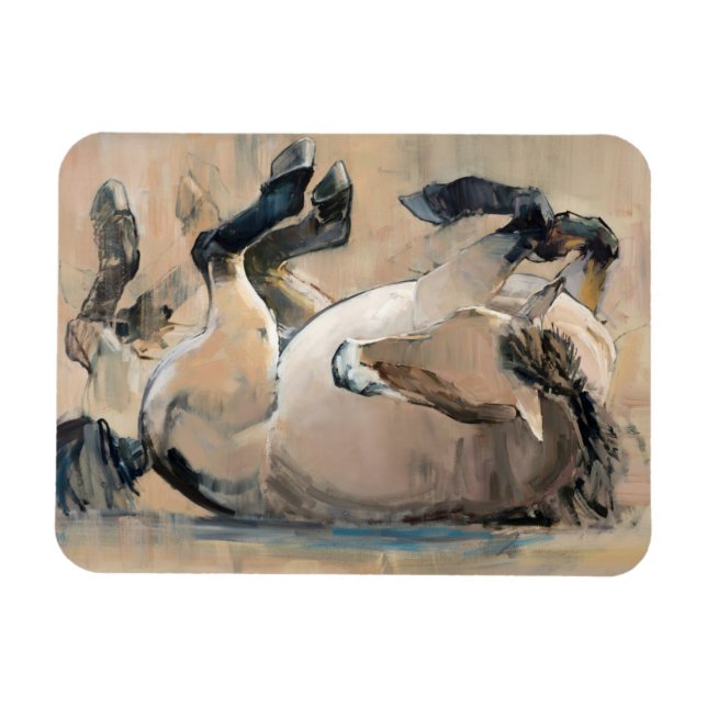 Íman Roll (Horizontal)