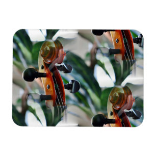 Íman Rolo elegante do violino