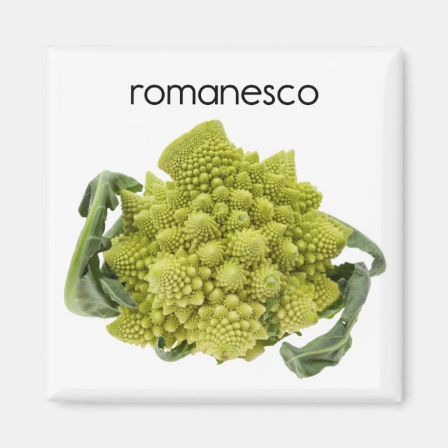 Íman Romanesco Refrigerador Magnet (Frente)
