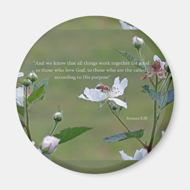 Íman Romanos 8:28 (Frente)