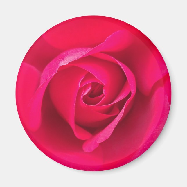 Íman Romântico Rosa Vermelho Rosa v2 (Frente)