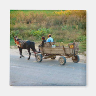 Íman Romênia, transportes de cavalos e de carrinhos