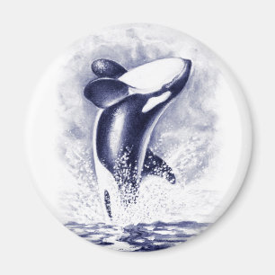 Íman Rompimento da orca