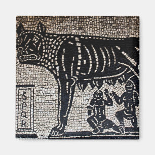 Íman Romulus & Remus