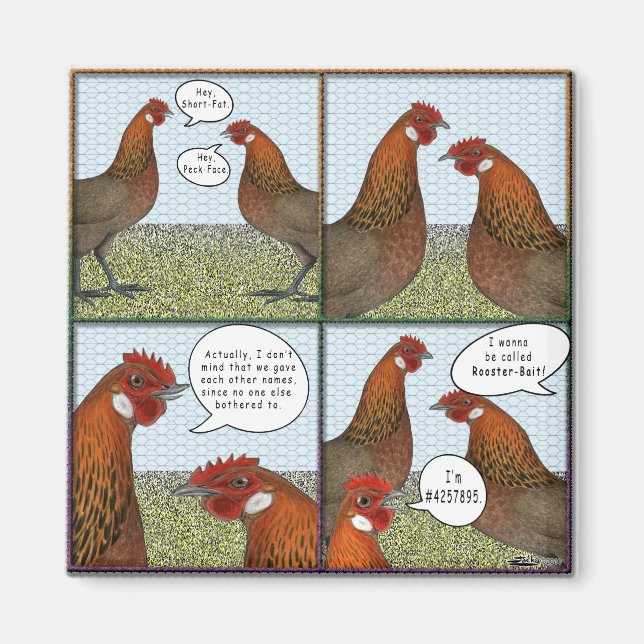 Íman Rooster Bait (Frente)