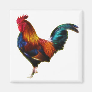 Íman Rooster de Fractalius Leghorn