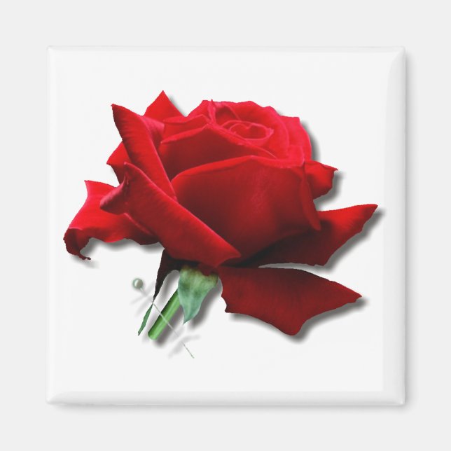 Íman Rosa (Frente)