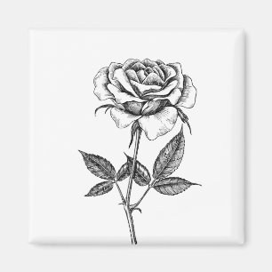 Íman Rosa