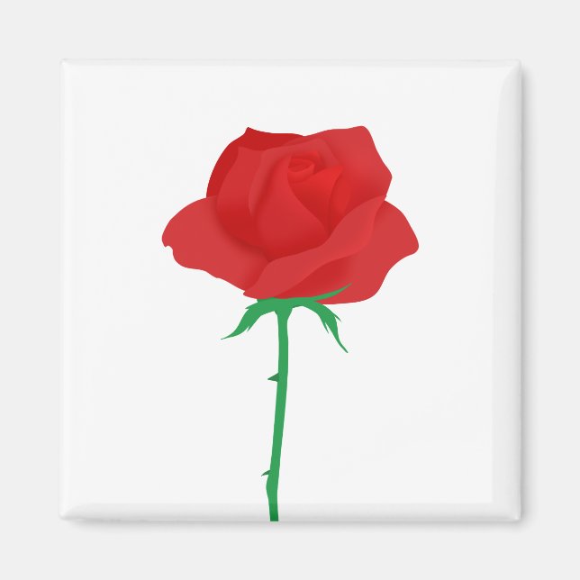 Íman Rosa (Frente)