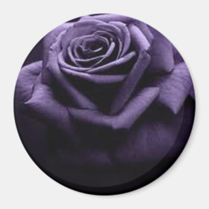 ÍMAN ROSA