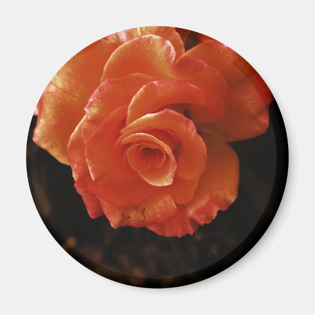 Íman Rosa (Frente)