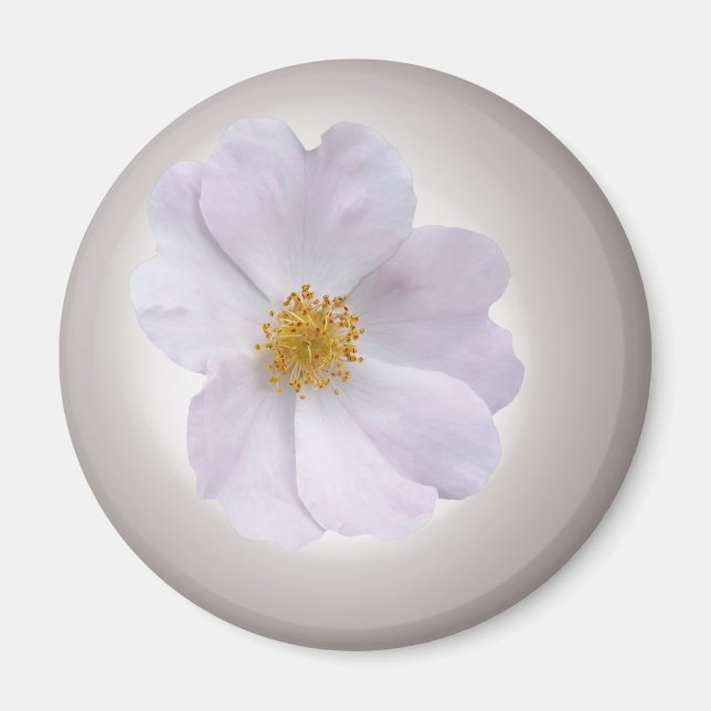 Íman rosa a roxo (Frente)